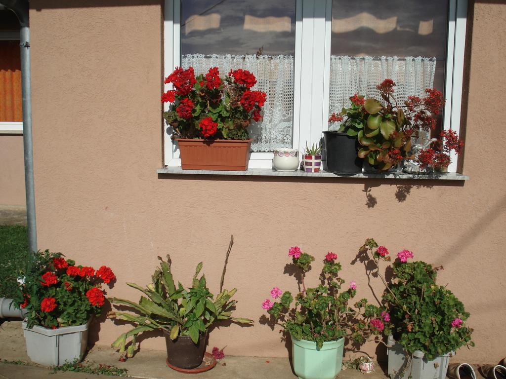 Rooms Marica Селище Дрезницко Екстериор снимка
